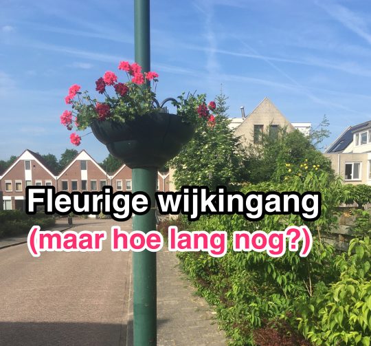mei 2022 Fleurige wijkingang (maar hoe lang nog?)
